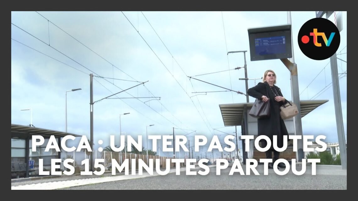 En Paca, un train TER toutes les 15 minutes ? Pas dans toutes les gares…