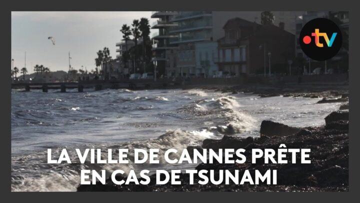 La ville de Cannes prête en cas de tsunami, a reçu  la certification Tsunami Ready