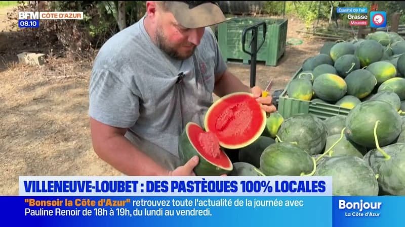 À Villeneuve-Loubet, ces agriculteurs produisent des pastèques 100% locales !