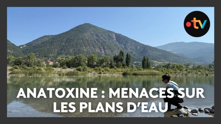 Baignade interdite aux 3 Lacs après la détection de toxines dangereuses pour l&rsquo;homme et les animaux