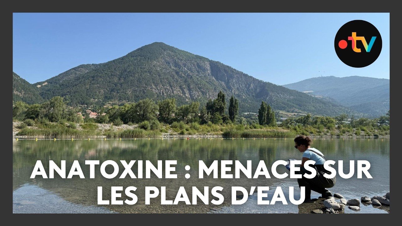 Baignade interdite aux 3 Lacs après la détection de toxines dangereuses pour l&rsquo;homme et les animaux