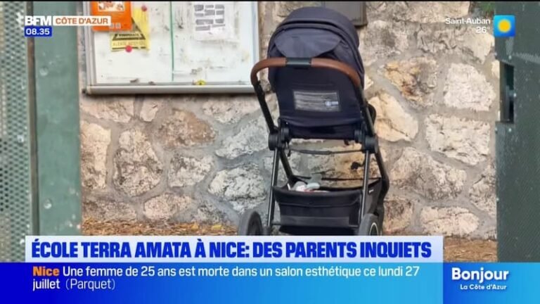 École Terra Amata à Nice : des parents inquiets après un nouvel incident