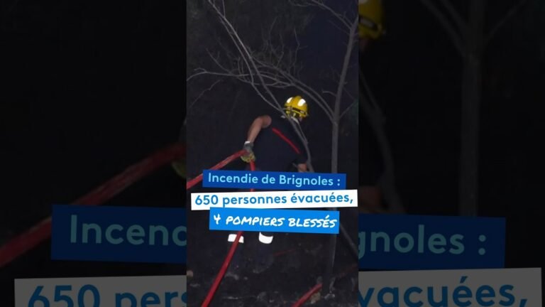 Incendie de Brignoles : 650 personnes évacuées, 4 pompiers blessés