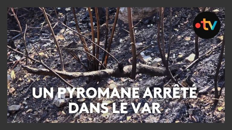 Incendies dans le Var : suspecté d&rsquo;avoir provoqué plusieurs feux, un jeune homme placé en détention