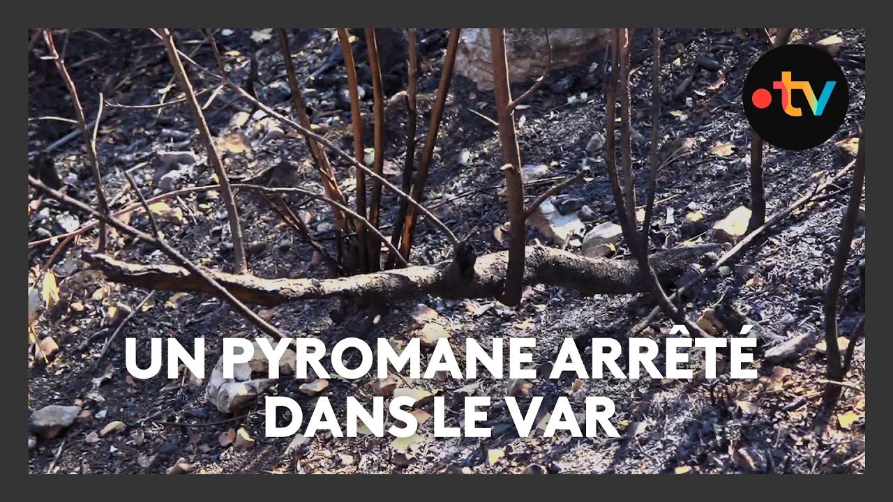 Incendies dans le Var : suspecté d&rsquo;avoir provoqué plusieurs feux, un jeune homme placé en détention