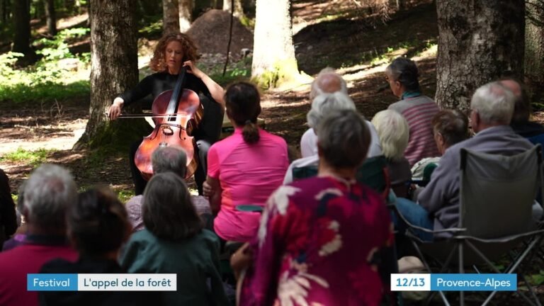 Le festival de Chaillol propose des bains sonores en forêt