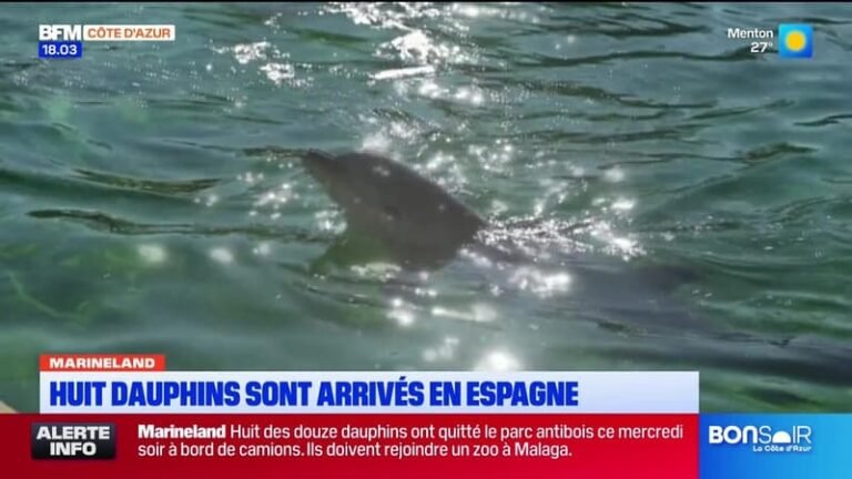 Le journal de 18h du jeudi 23 juillet 2026