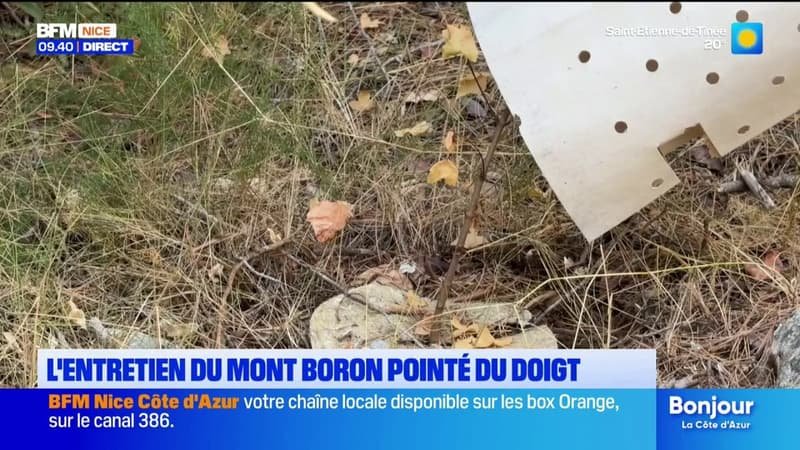 L&rsquo;entretien du Mont Boron pointé du doigt