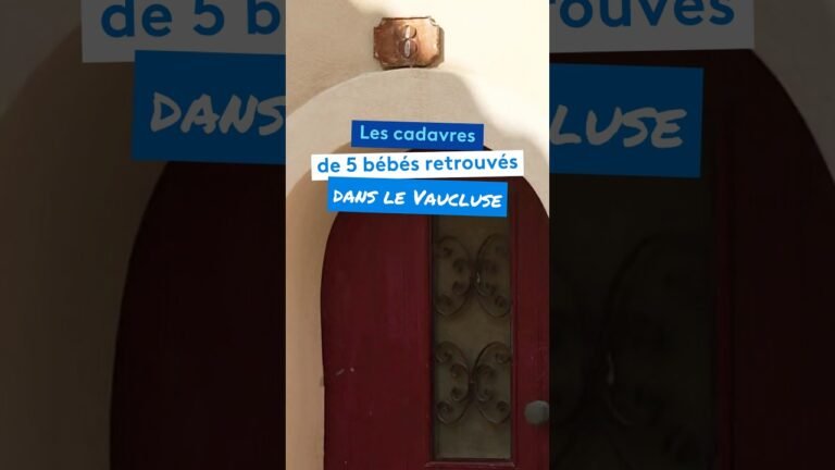 Les cadavres de 5 bébés retrouvés dans la Vaucluse