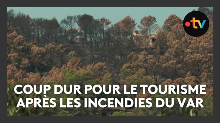 Les incendies du Var ont fait fuir les touristes, les professionnels sont inquiets