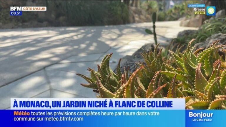 L&rsquo;été chez nous : on vous emmène découvrir le Jardin Exotique de Monaco
