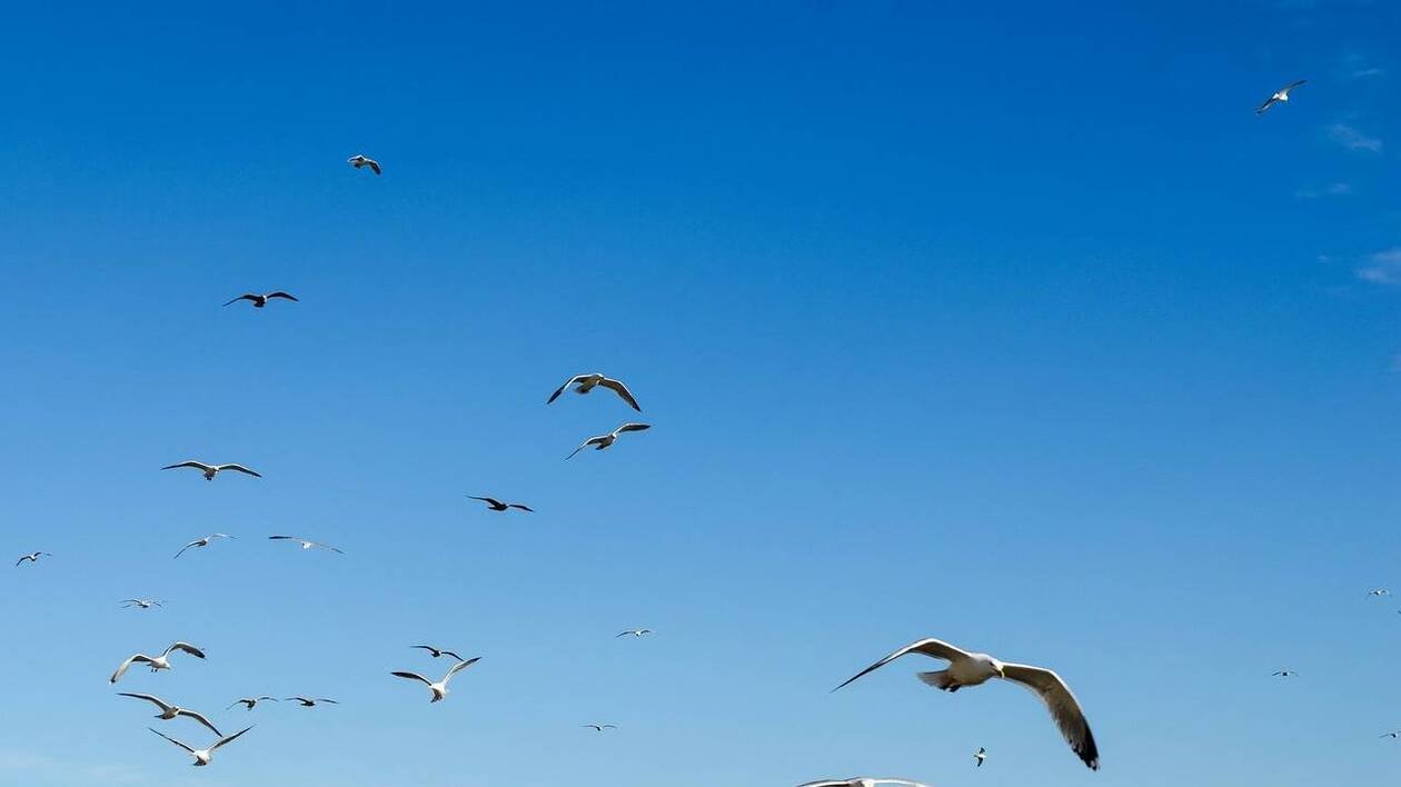 Météo. La météo du samedi 25 juillet 2026 à Cannes et ses environs