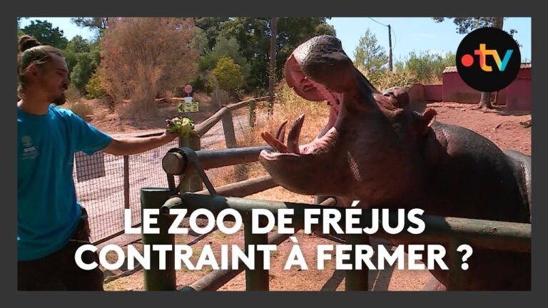 Pourquoi le zoo de Fréjus ferme après 55 ans d’existence ?