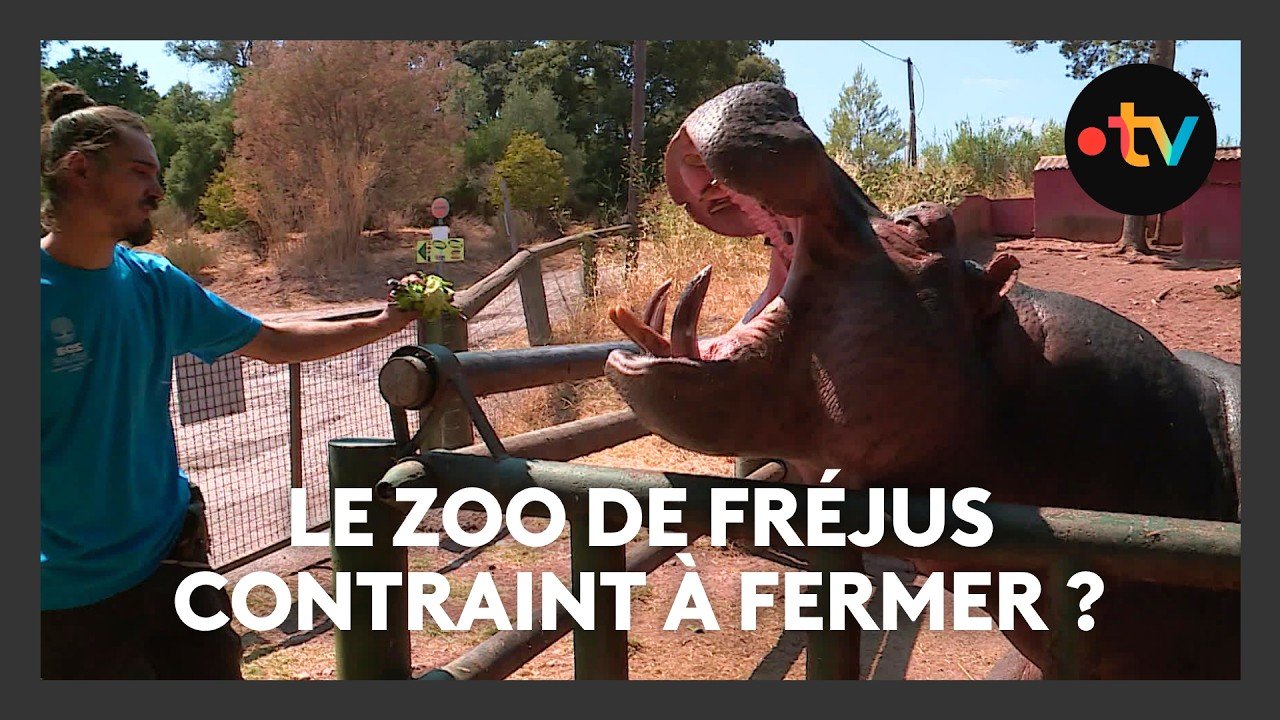 Pourquoi le zoo de Fréjus ferme après 55 ans d’existence ?
