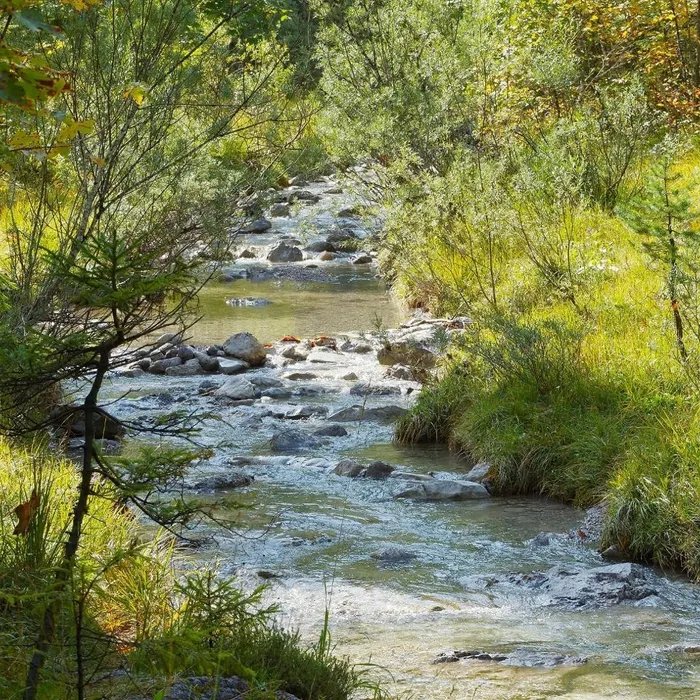 Près de Nice, l’afflux de visiteurs dans une rivière devenue populaire sur TikTok exaspère les riverains  (Ouest-France)