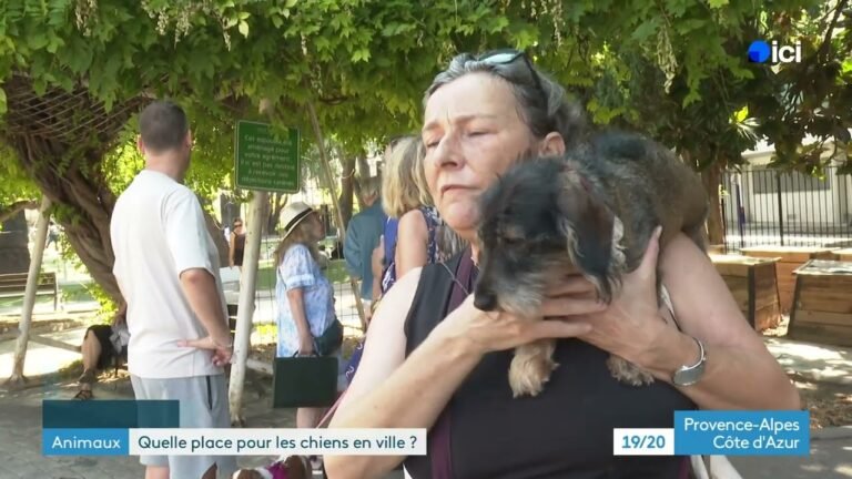 À Nice, une pétition réclame le retour des chiens dans le jardin de la Villa Thiole