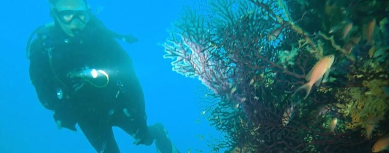 Activités aquatiques dans les Alpes-Maritimes : 6 idées pour se jeter à l’eau cet été