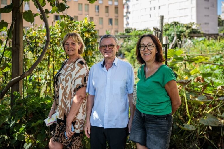 Ajaccio : les jardins familiaux des Cannes vont être modernisés