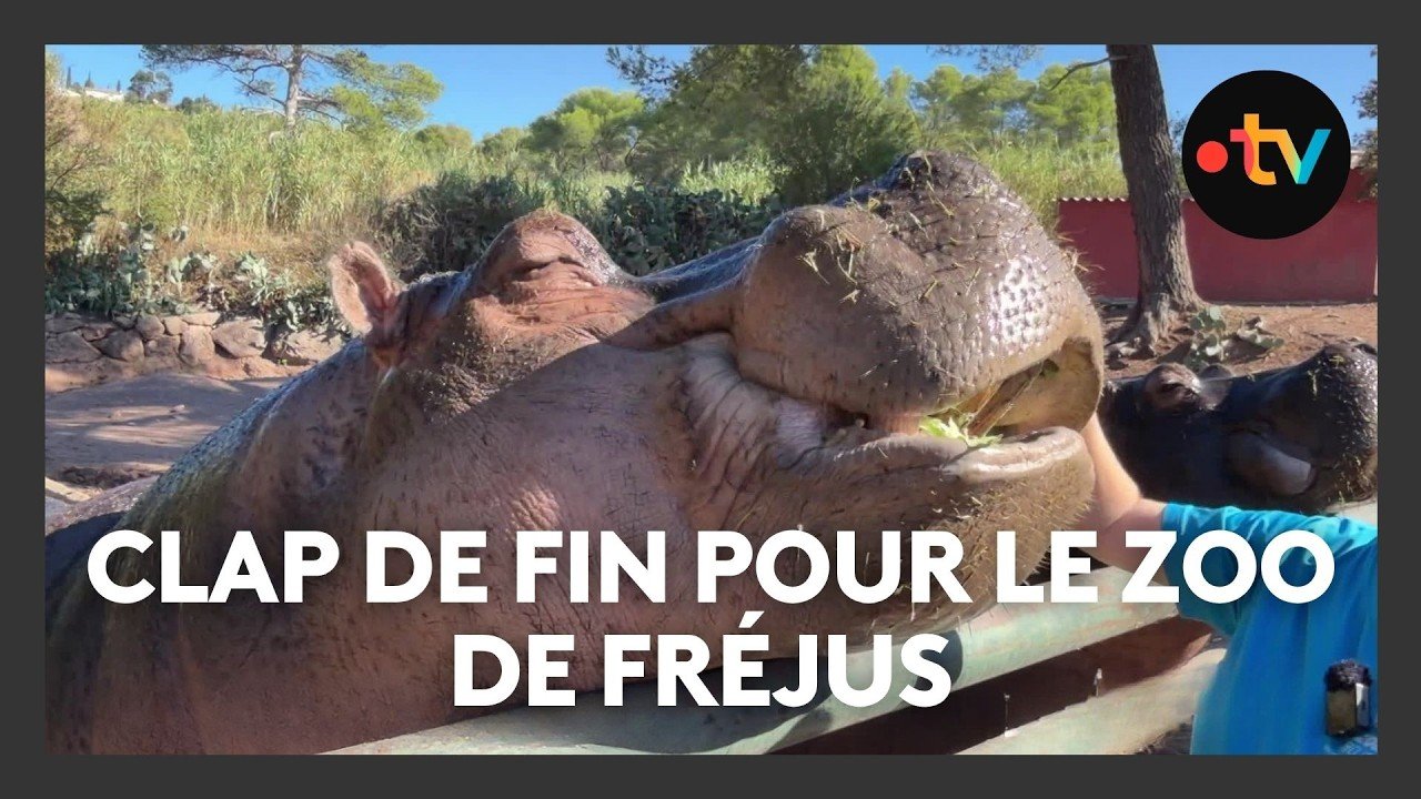Après 55 ans d&rsquo;existence, le zoo de Fréjus ferme ses portes