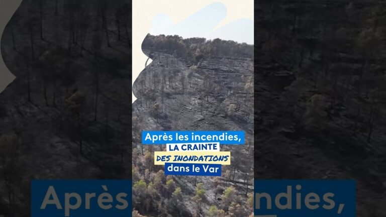 Après les feux de forêts, les communes sinistrées craignent des inondations dans le Var
