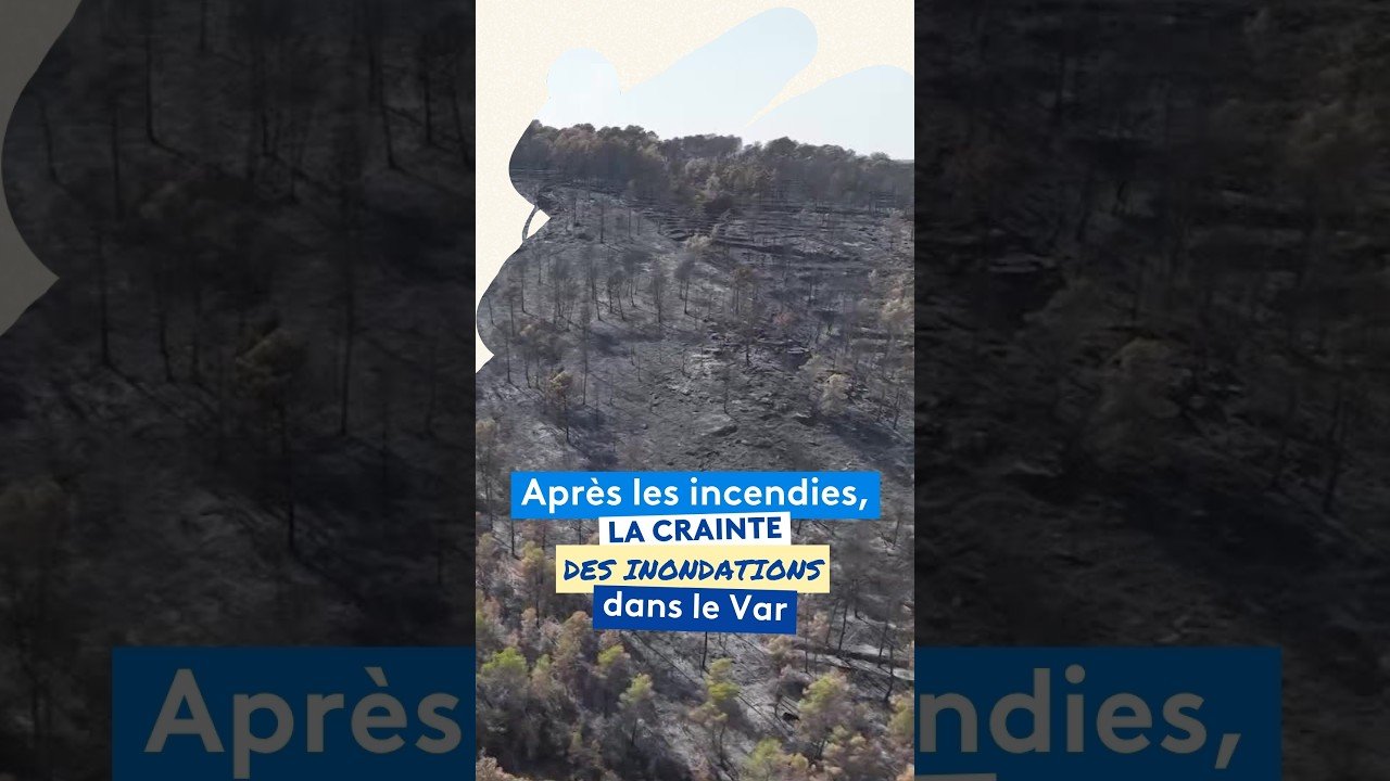 Après les feux de forêts, les communes sinistrées craignent des inondations dans le Var