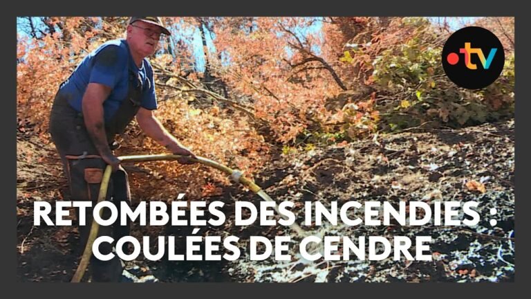 Après les incendies, des coulées de cendres ravagent désormais le Var, la solidarité s&rsquo;organise