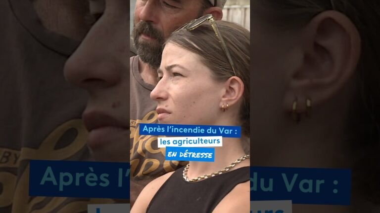Après l&rsquo;incendie du Var : les agriculteurs en détresse