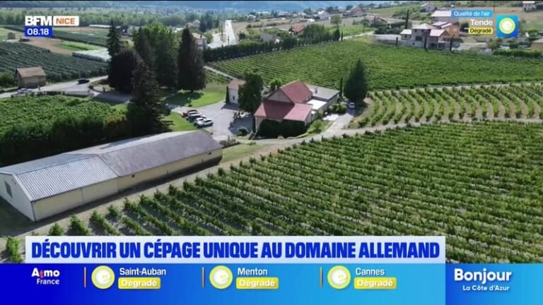 Bonjour la Côte d&rsquo;Azur du lundi 24 août 2026