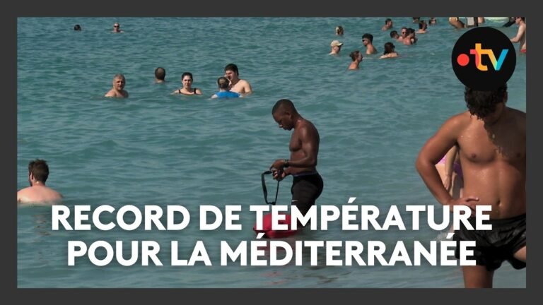 Canicule marine : la mer Méditerranée bat de nouveaux records de température