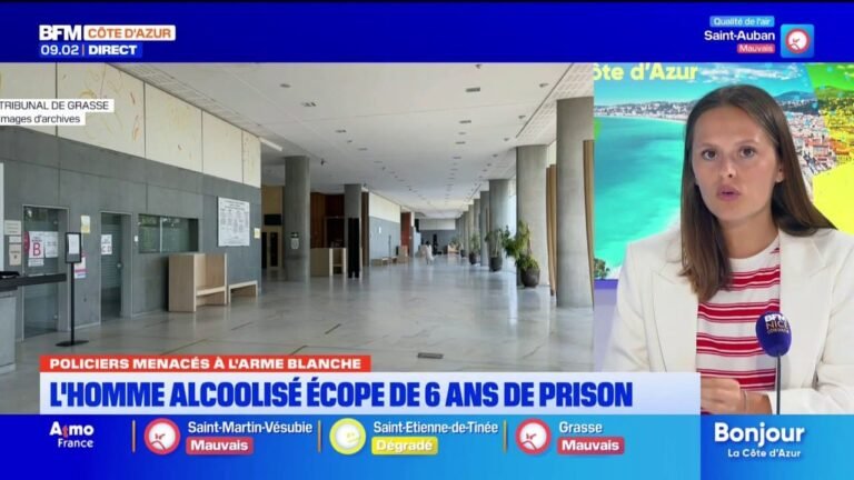 Cannes : 6 ans ferme pour l&rsquo;homme alcoolisé qui avait menacé des policiers à l&rsquo;arme blanche