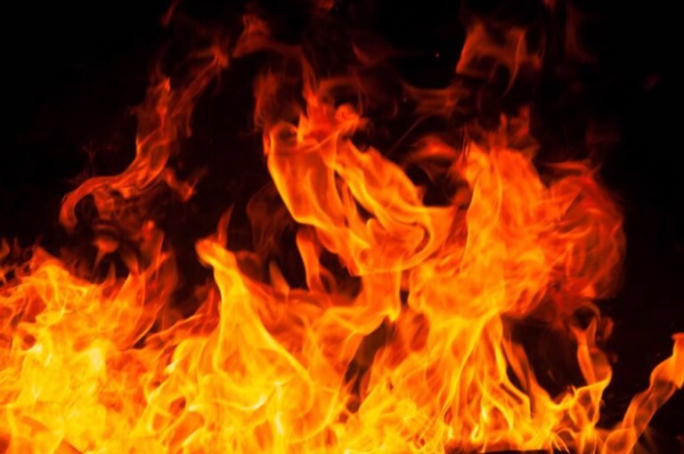 Capesterre Belle-Eau : un incendie ravage plus de quatre hectares de cannes