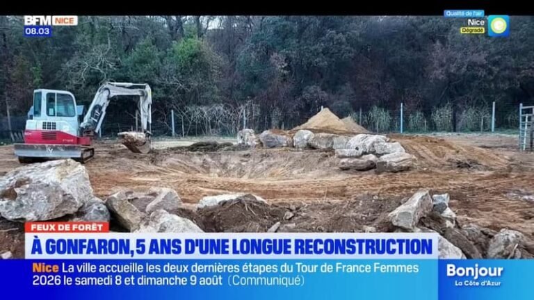 Cinq ans plus tard, la reconstruction se poursuit après les feux de forêt à Gonfaron, dans le Var