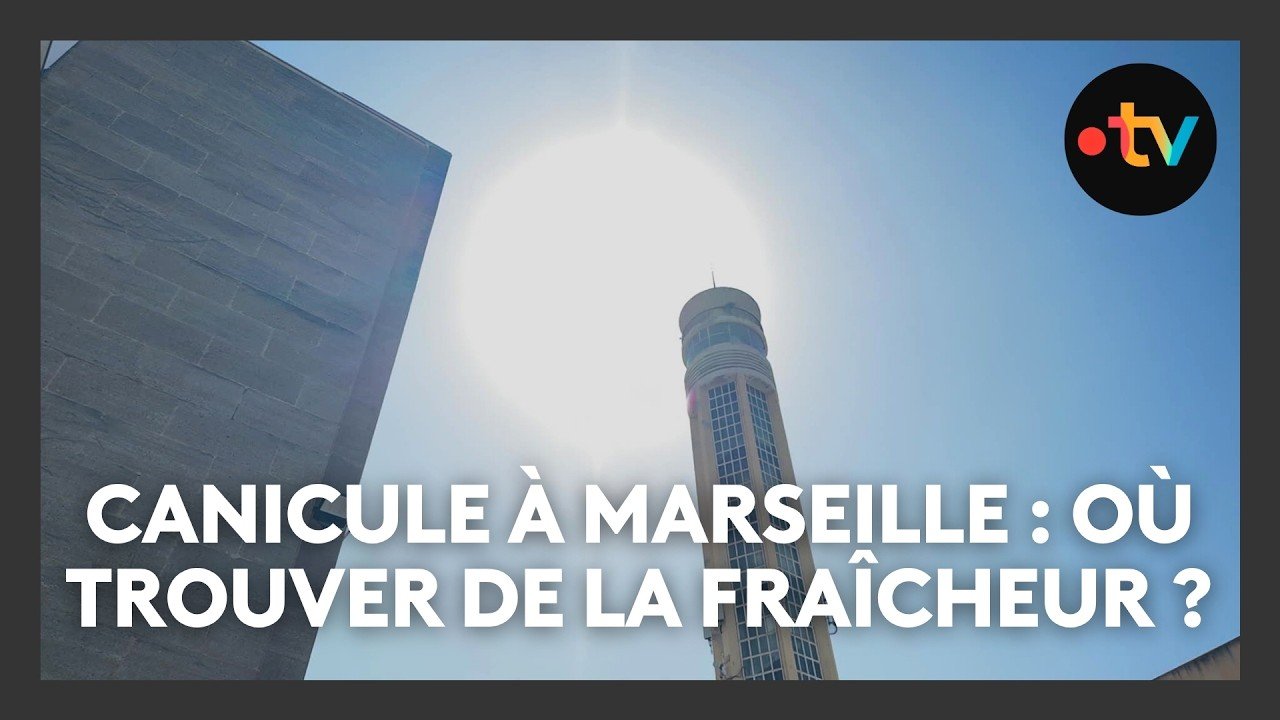 Cinquième vague de canicule : pour trouver de la fraîcheur à Marseille, chacun sa solution