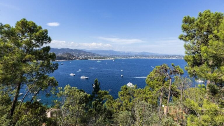 Collision entre deux bateaux dans la baie de Cannes : un jeune homme toujours porté disparu, une information