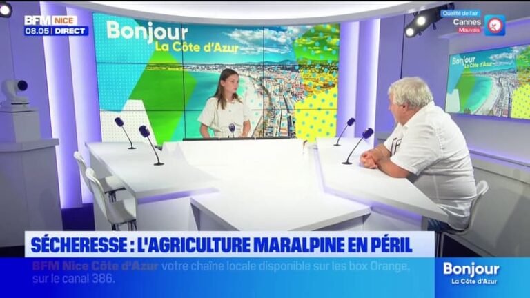 De nombreux secteurs de l’agriculture touchés avec un fort impact sur les étals