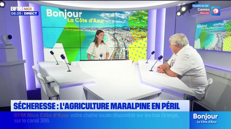 De nombreux secteurs de l&rsquo;agriculture touchés avec un fort impact sur les étals