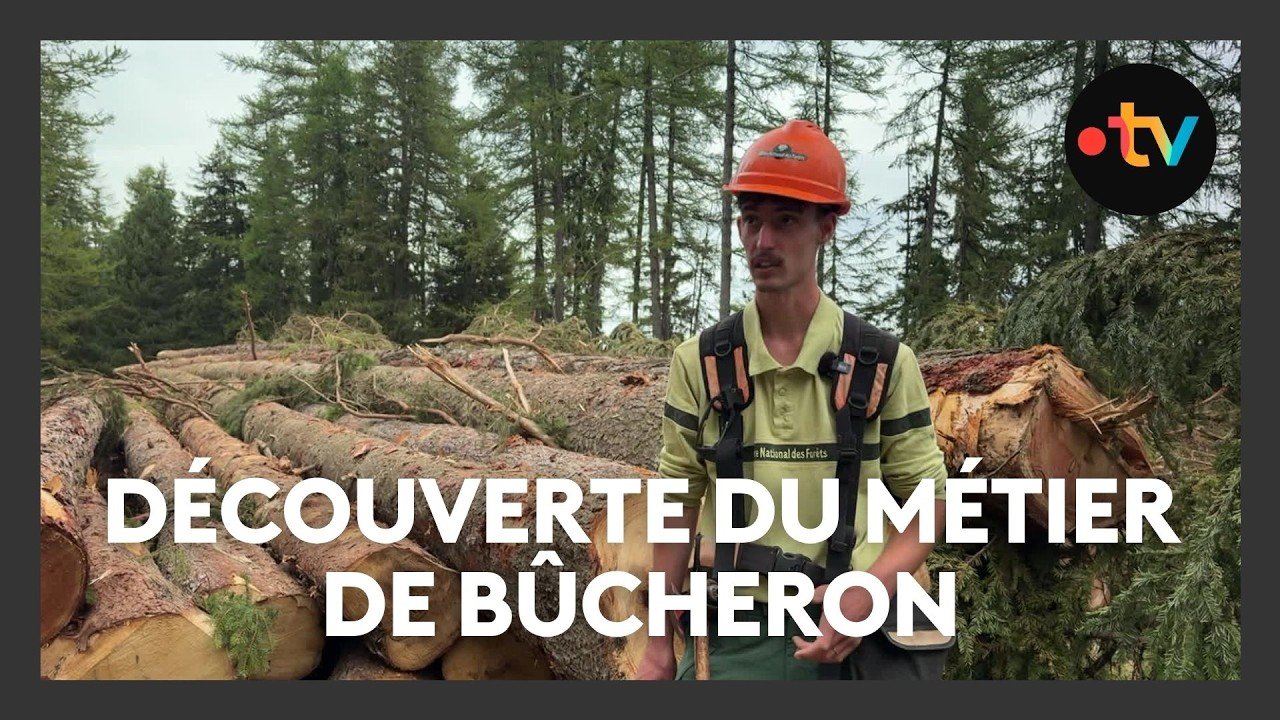 Découverte du métier de bûcheron dans les Alpes-de-Haute-Provence