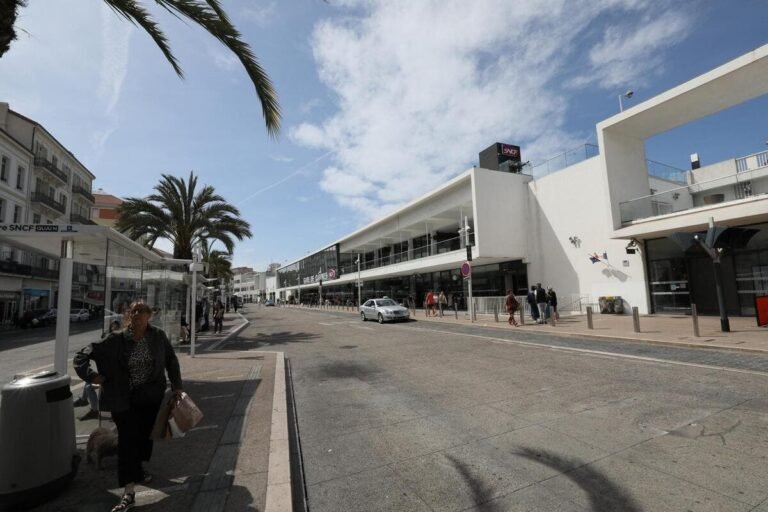 Deux policiers en civil interpellent un individu alcoolisé et menaçant dans le train Menton-Cannes