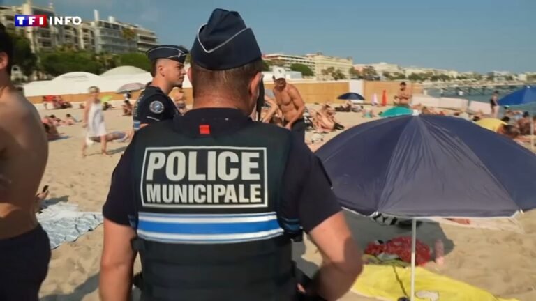 « En général, c’est une fois par jour » : à Cannes, une brigade lutte contre les vols à la serviette sur la plage