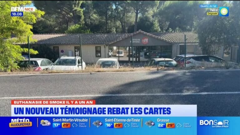 Euthanasie de Smoke il y a un an : un nouveau témoignage rebat les cartes