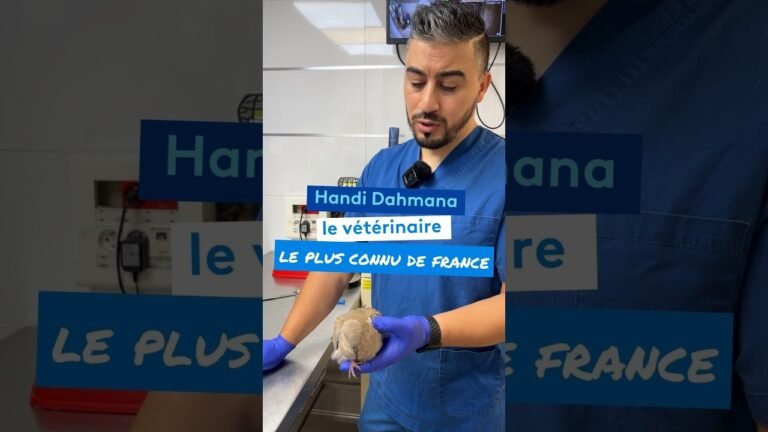 Handi Dahmana le vétérinaire le plus connu de France