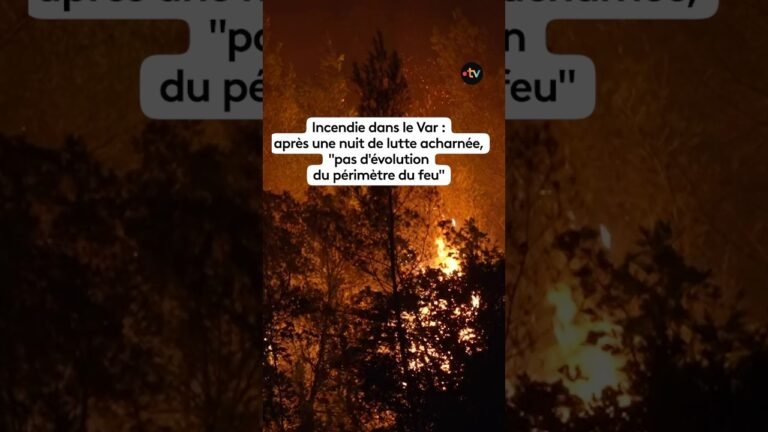 Incendie dans le Var : après une nuit de lutte acharnée, « pas d&rsquo;évolution du périmètre du feu »