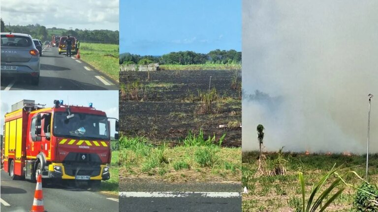 Incendie de cannes et de broussailles à Cambrefort (Capesterre-Belle-Eau) : la circulation déviée