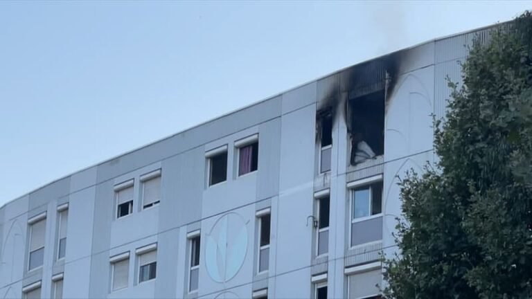 Incendie des Moulins à Nice en 2024: le suspect interpellé a été mis en examen et placé en détention provisoire