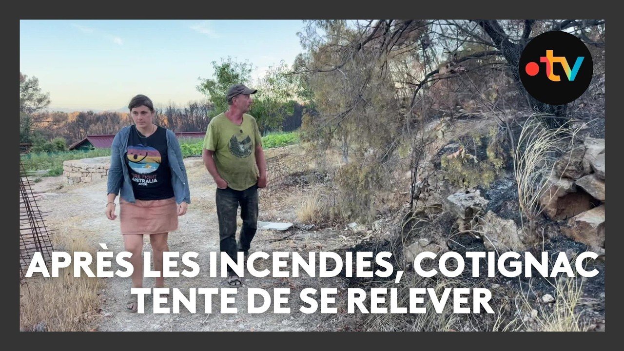 Incendies dans le Var : comment reconstruire ?