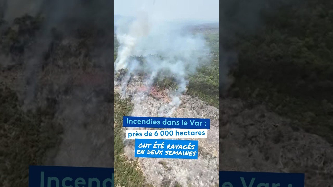 Incendies dans le Var : près de 6 000 hectares ont été ravagés en deux semaines