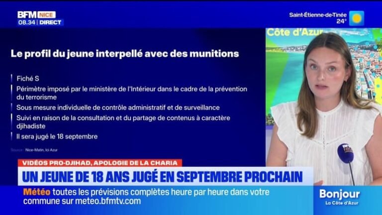Interpellé en possession de munitions, un jeune homme de 18 ans fiché S jugé en septembre