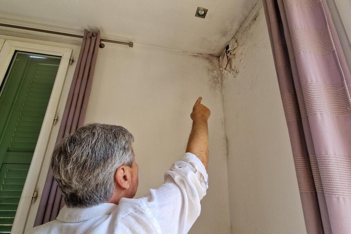 « J’ai failli mourir ici » : Près de Cannes, ce locataire dénonce l’insalubrité de son logement, cesse de payer son loyer… mais est condamné par la justice