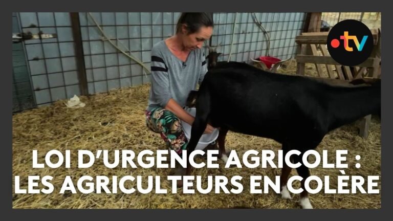 La nouvelle loi d’urgence agricole suscite une vive contestation dans les Bouches-du-Rhône