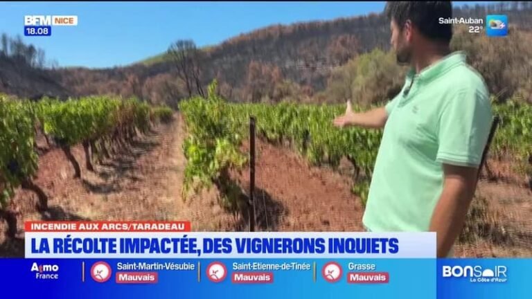 Le journal de 18h du mardi 11 août 2026